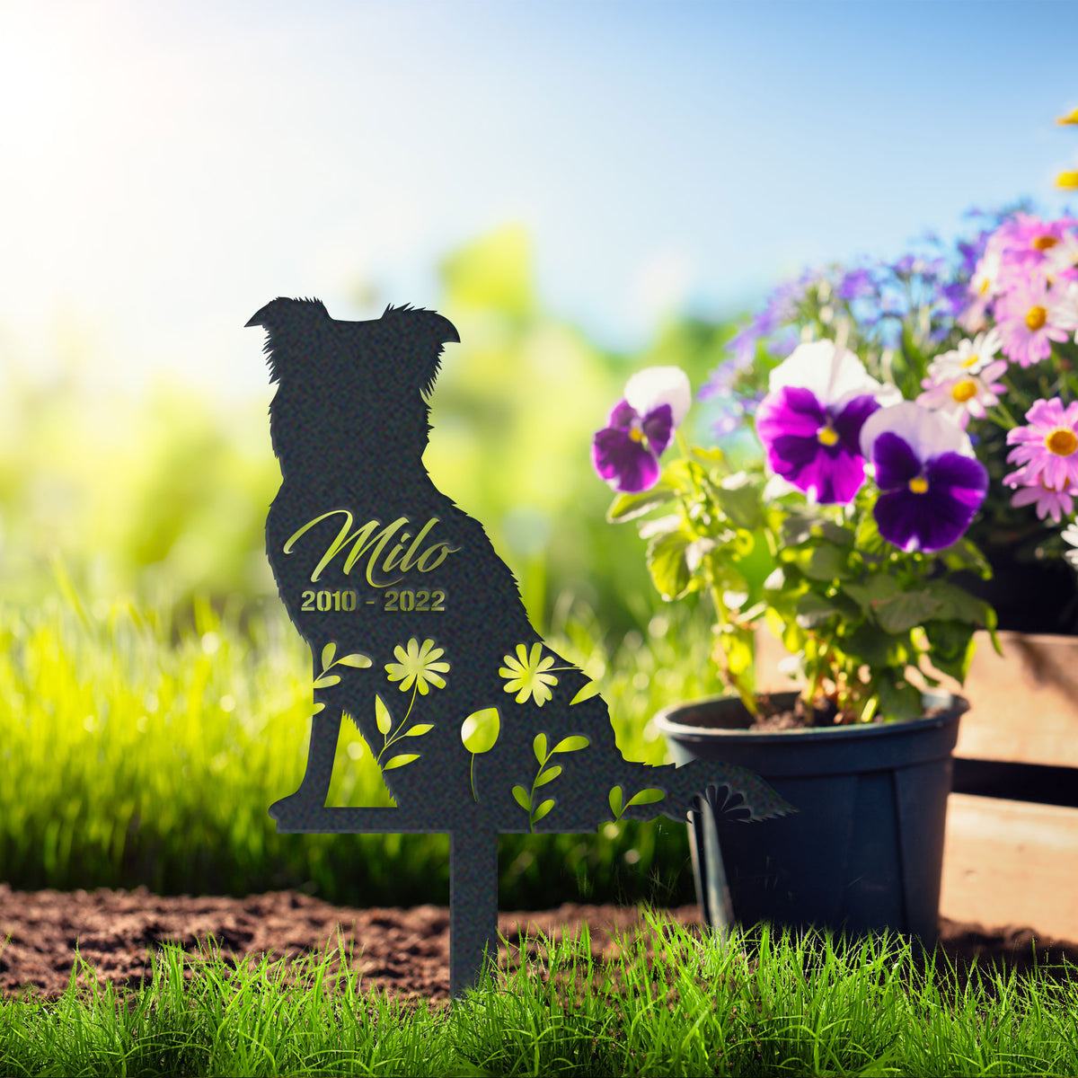 Border Collie Garden Sign| Dog Sympathy Gift metal garden stake displayed outdoors in a yard