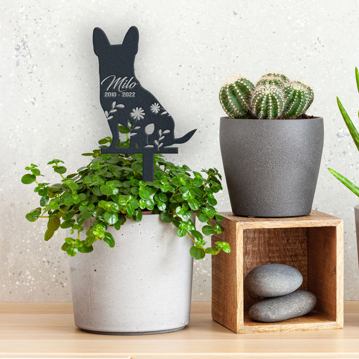Chihuahua Garden Sign| Dog Sympathy Gift metal garden stake displayed outdoors in a yard